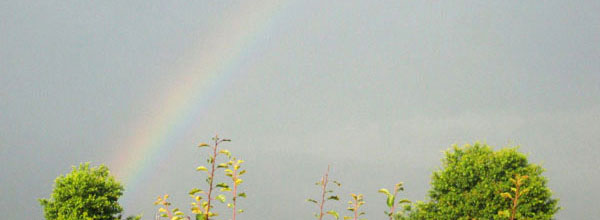 Regenbogen